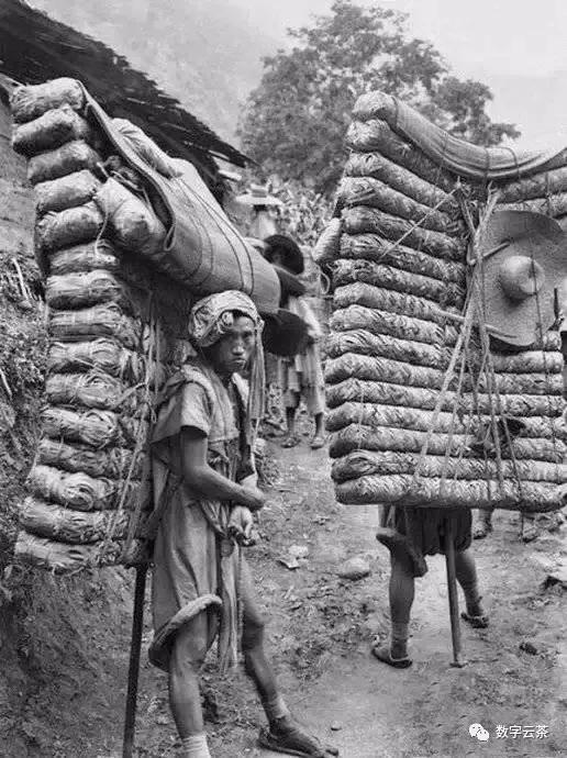 茶马古道寻找茶文化之旅,消失的茶马古道和茶文化