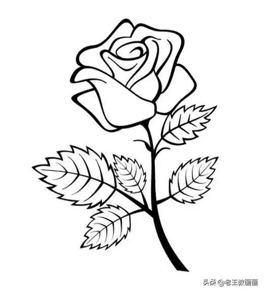 最简单的简笔画教程,超简单儿童简笔画入门初学