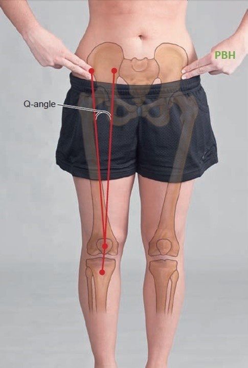 q角评估,q角指标详解图解