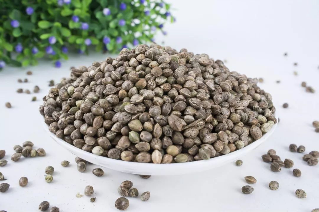 巴马长寿老人长期吃的什么油,巴马老人常年服用哪种油