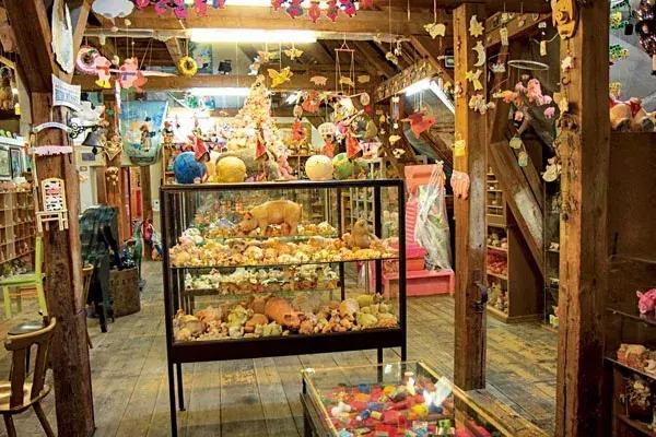 猪年说猪,猪年趣谈猪