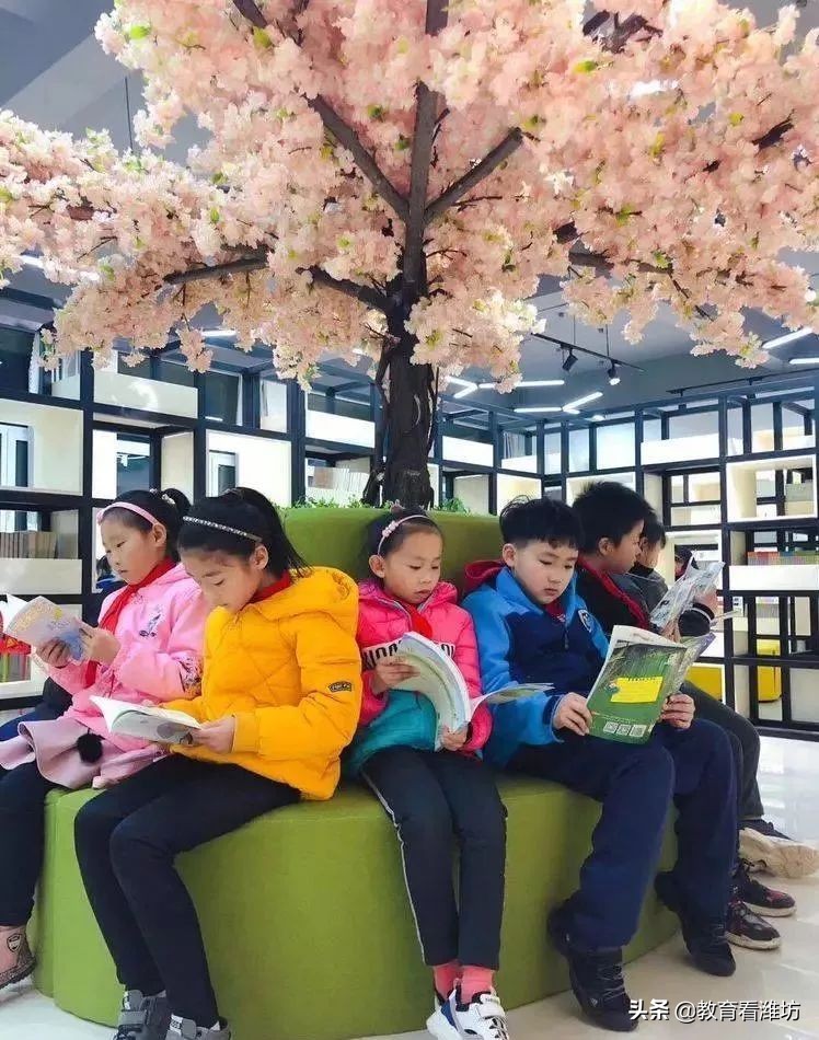 潍坊高新区新纪元学校办学性质,潍坊市上海新纪元学校简介