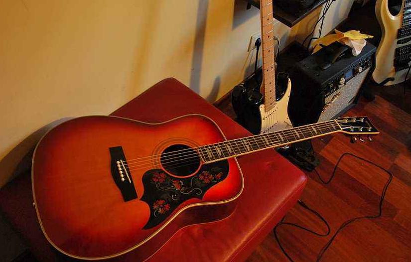 吉他烧火棍哪种最好,初学者买什么吉他不会买到烧火棍