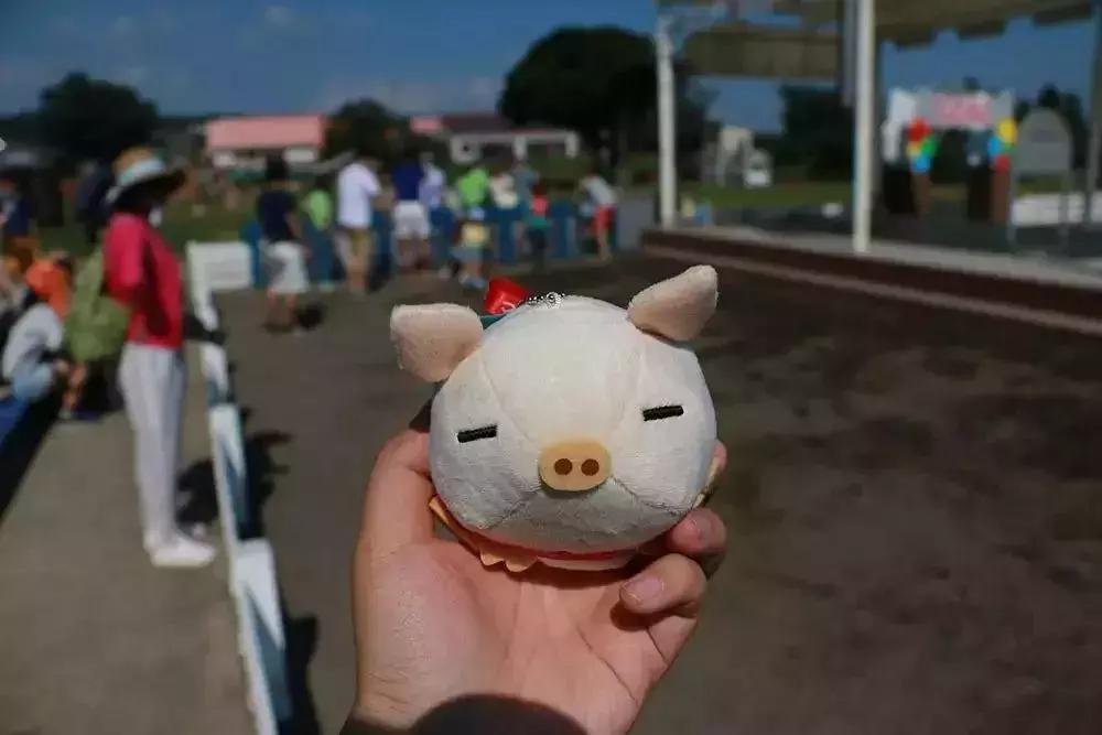 日本农场营收10亿经营秘诀,日本妈妈牧场怎么运营