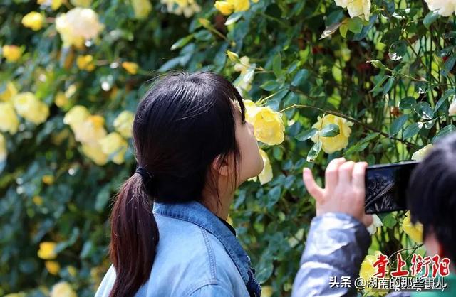 衡阳市天气预报30天查询百度,衡阳市天气预报app