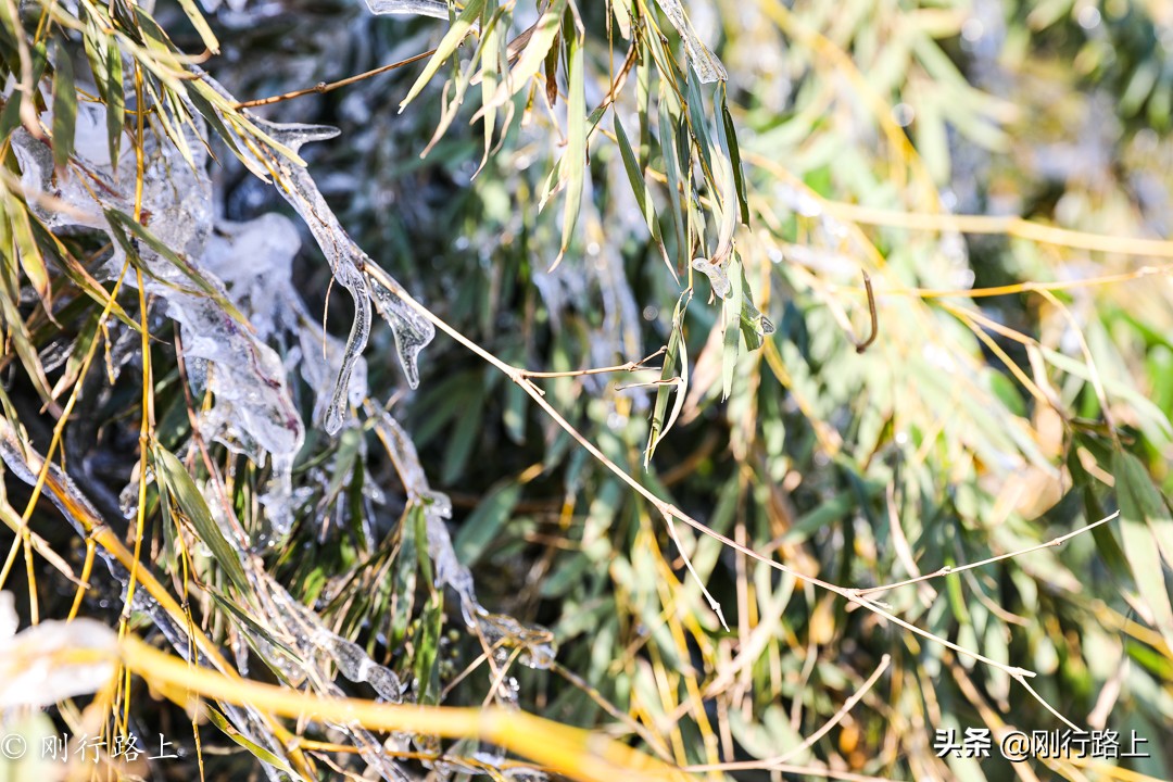 华东第一竹海之称的地方，冬季里冰花最吸引人