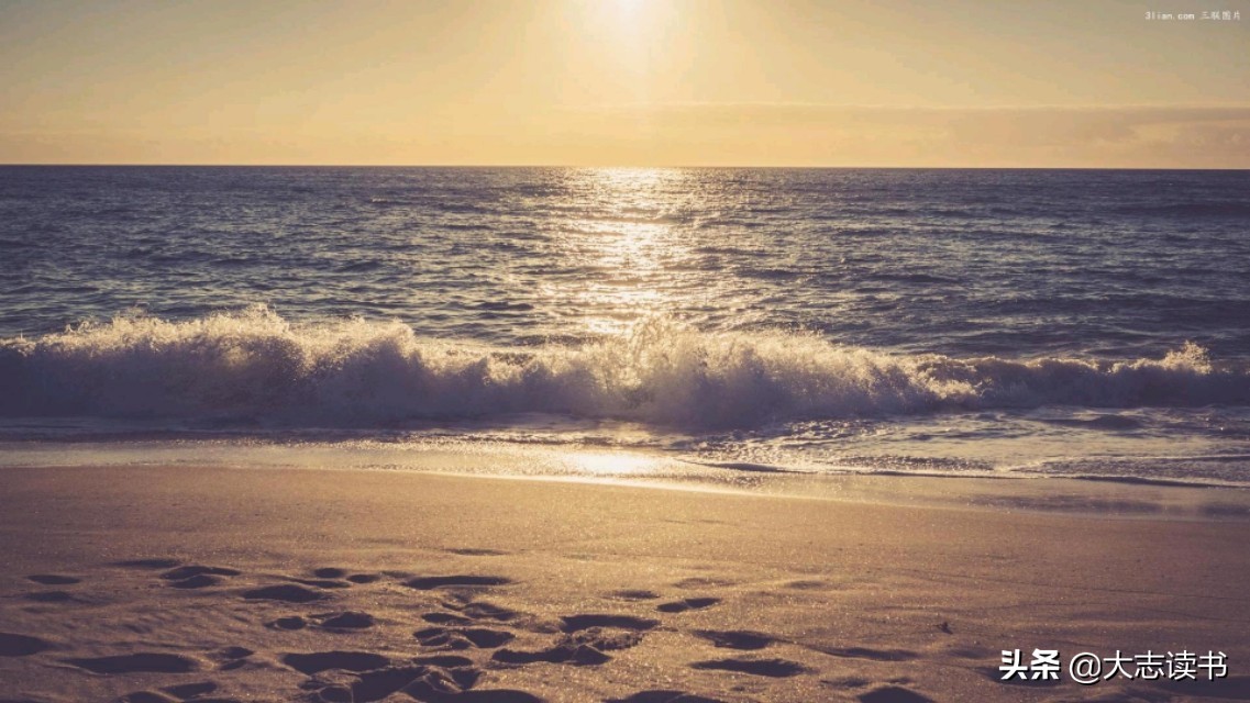 海边容易发生的事故,海边要注意安全保护自己