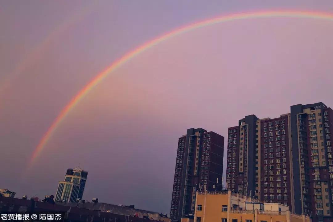 风雨彩虹！2456.2万曝光量！洛阳，这一次太惊艳了.......