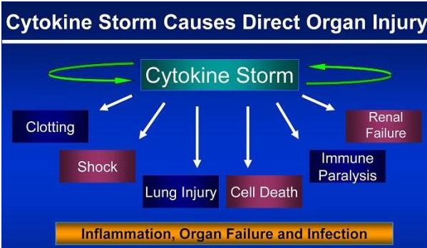 细胞因子风暴为什么用激素,行业风暴有哪些