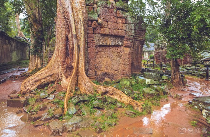 柬埔寨暹粒旅游,柬埔寨暹粒7天旅游攻略