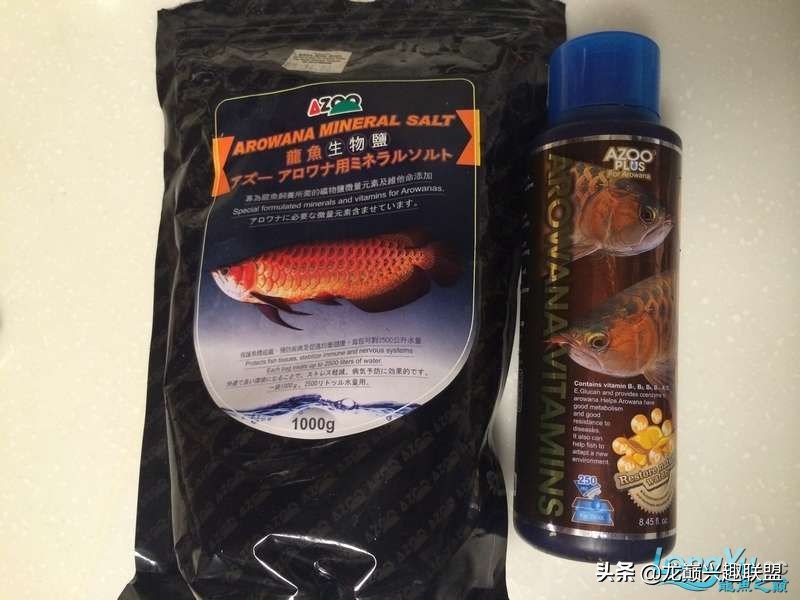 手把手教你做龙鱼最强营养秘方食谱--鲜虾牛肉狮子头，别馋哈