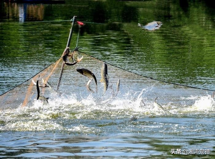 书写安乡情讴歌新时代——章绍君春联集锦