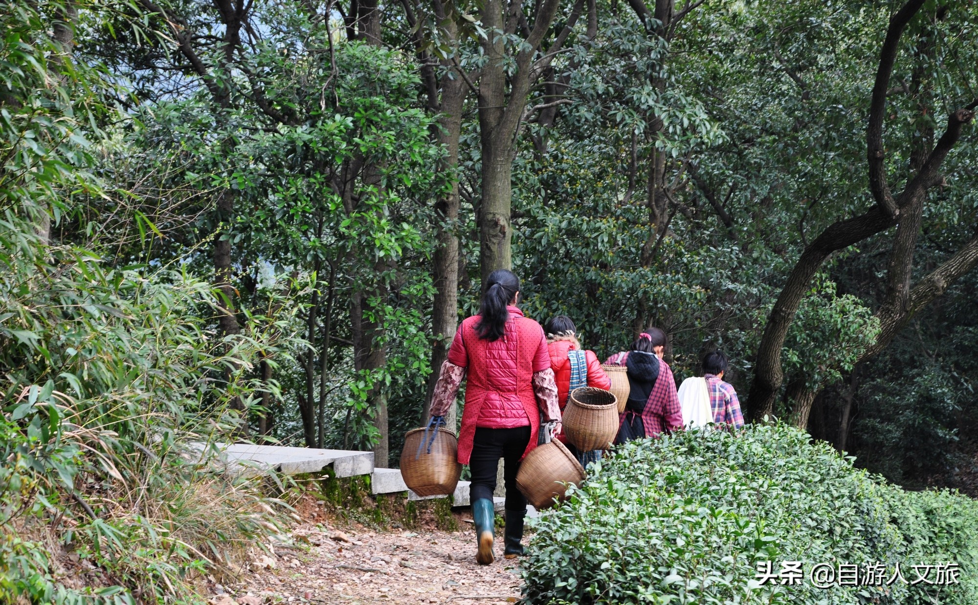 环西湖群山徒步毅行,行走西湖古诗词
