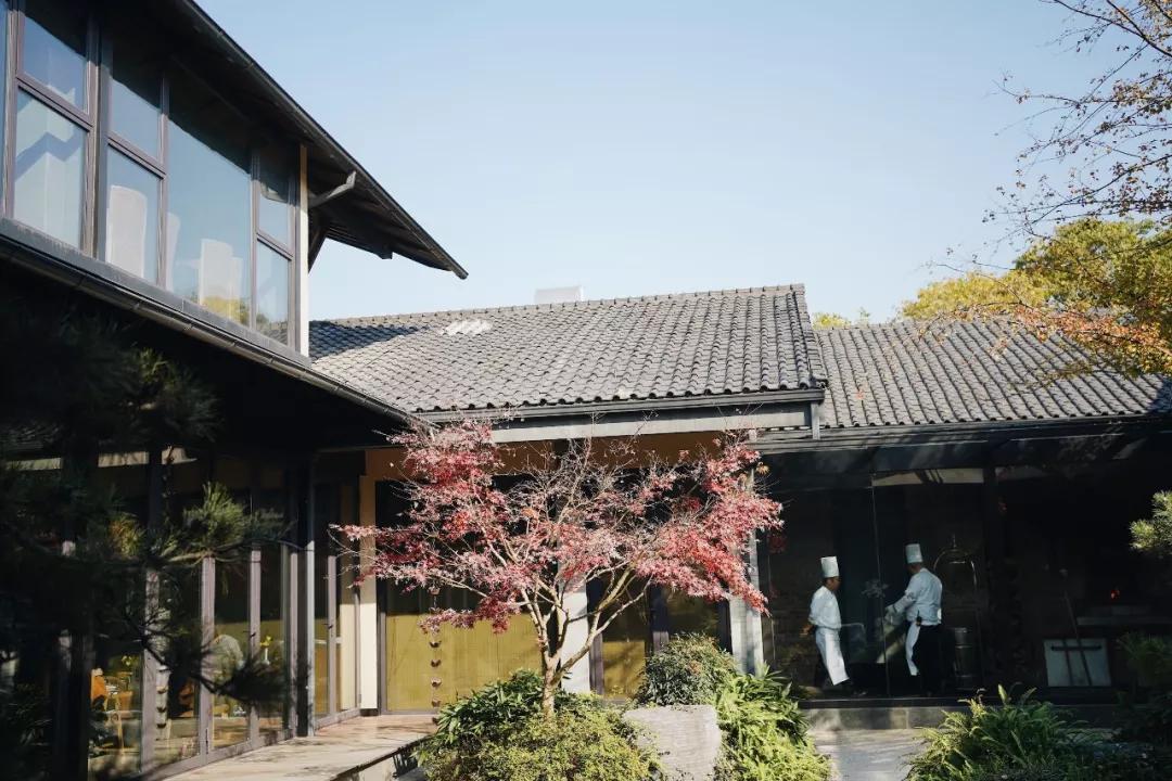 打卡南京西路新荣记,打卡新荣记