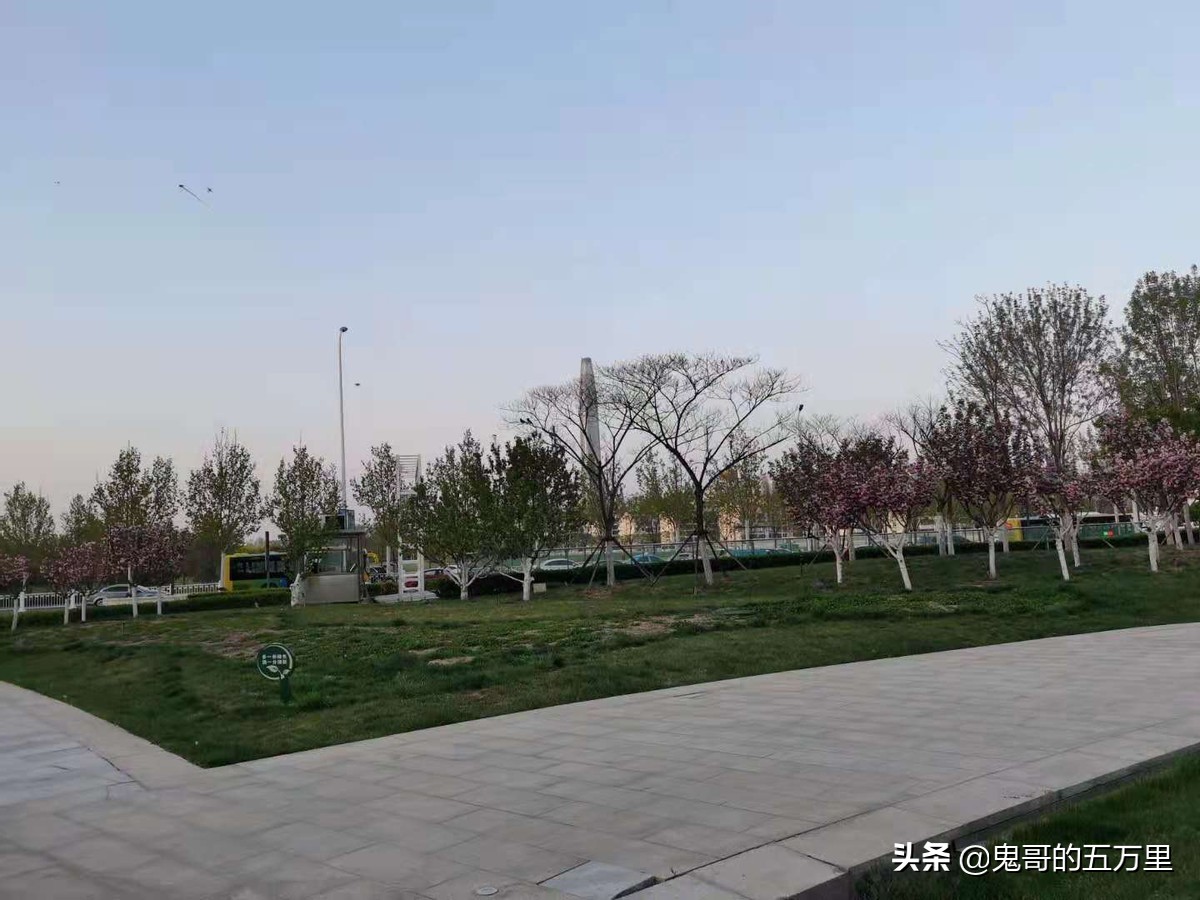 鬼哥的五万里D201骑记：山东回忆录-上,黄骅市上排河镇-滨海新区