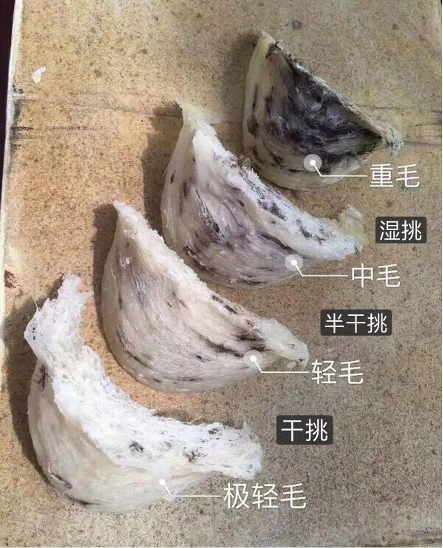 燕窝有什么功效与作用和禁忌,燕窝是不是被夸大了功效