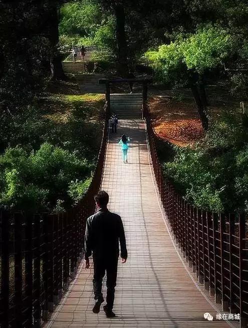 「品读」我的前男网友——以后真的不单独见面吗?/江河之王