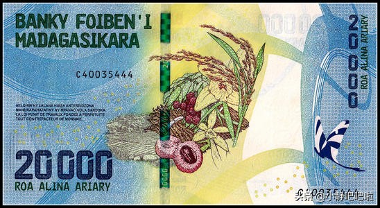 马达加斯加冷知识,马达加斯加的特点和路线