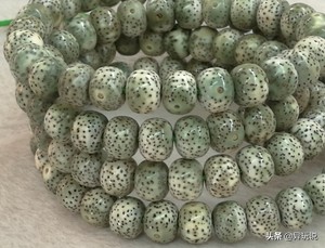 星月菩提十二大禁忌,新手星月菩提适合买多大的