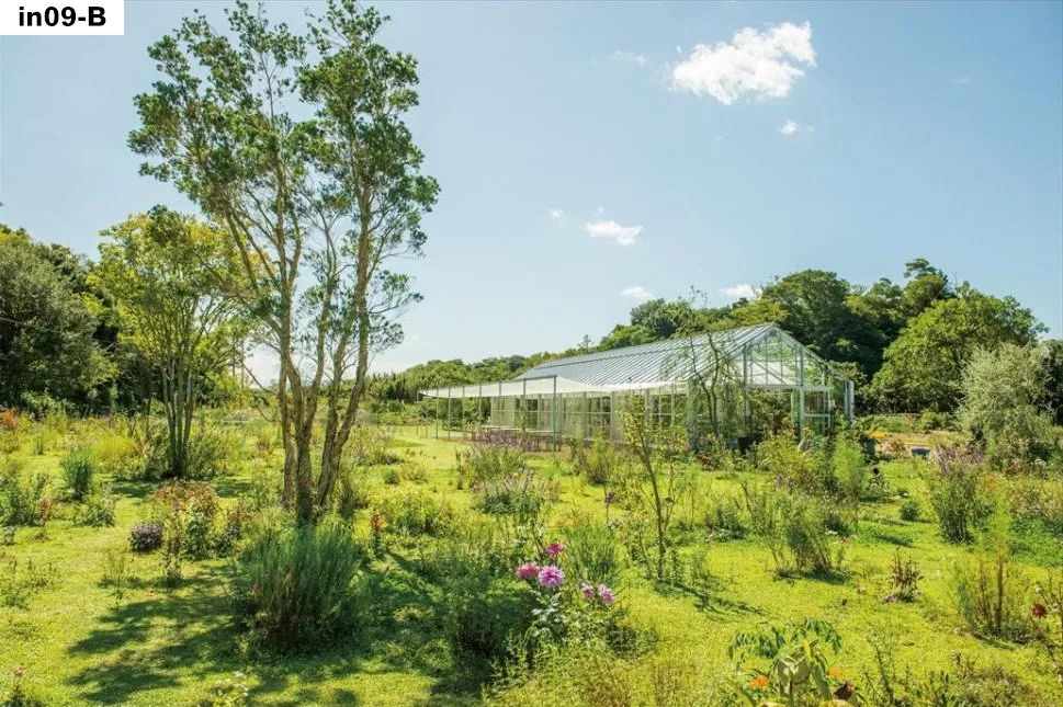 一辈子要去一次的艺术节，这个flag绝不能倒