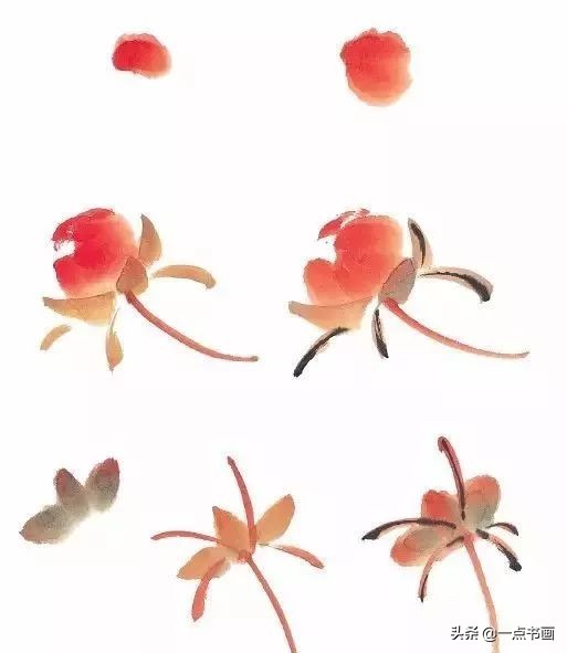 王绣写意牡丹画法步骤,王兮然写意牡丹画法视频大全
