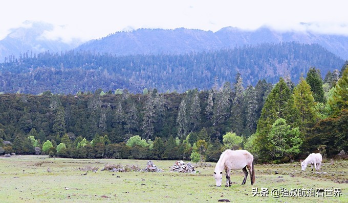 川藏小环线5天,川藏青藏大环线18天行程攻略