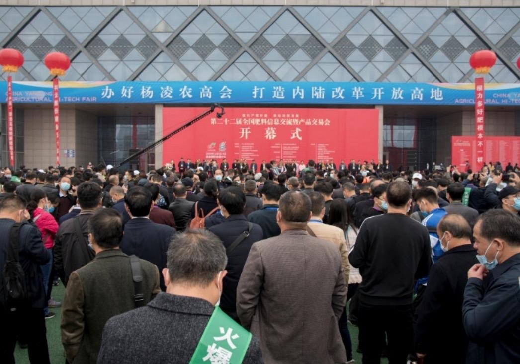 今日鸡蛋价格明天鸡蛋还能涨价吗,2021年鸡蛋价格同比上涨的原因