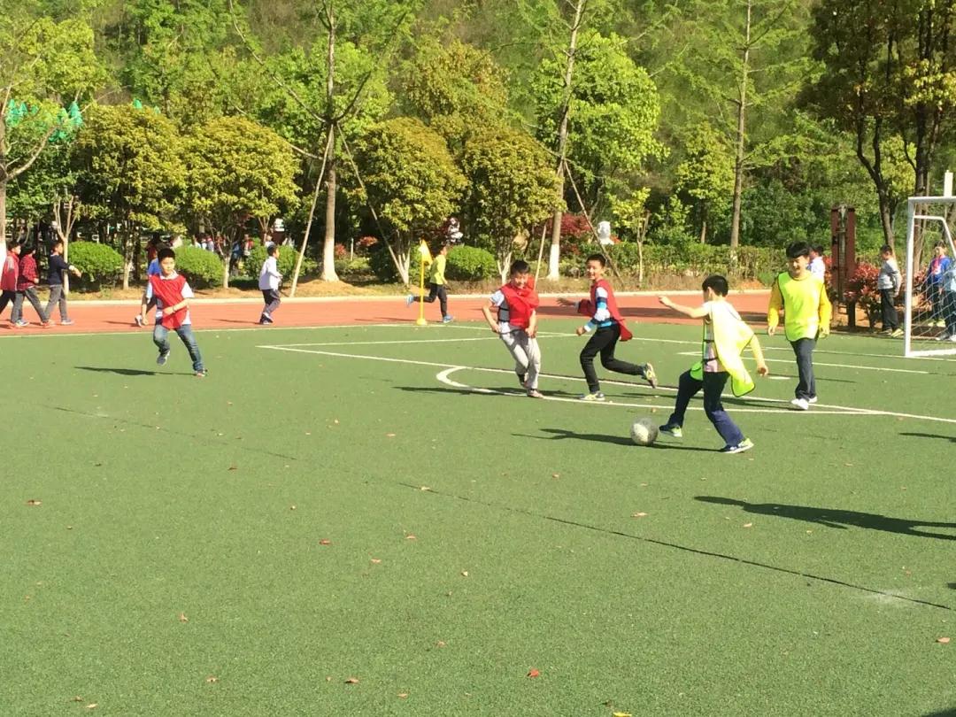 南京市金陵小学和园,南京市六合金陵小学