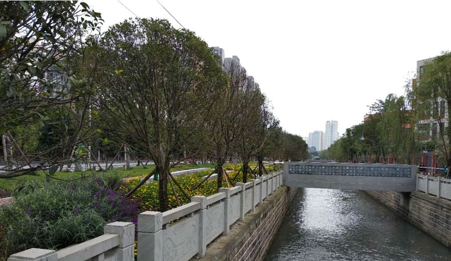 成华头条杉板桥,成华头条正能量