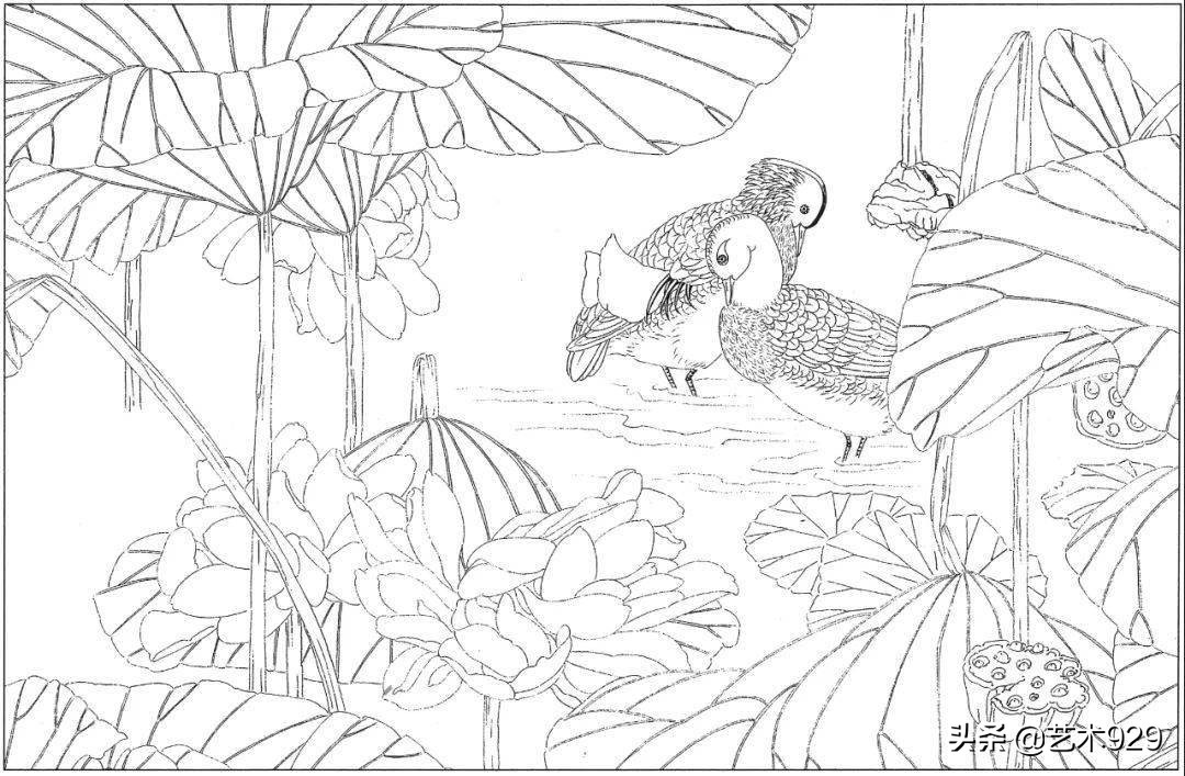 余稚荷花蜻蜓图高清白描底稿,白描荷花勾线方法讲解视频