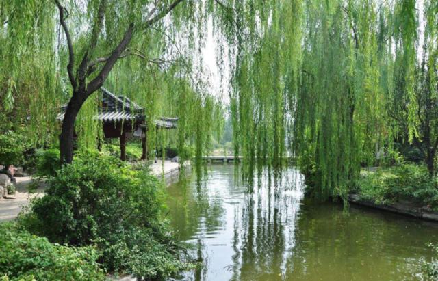 冬季山东山泉水最美最有韵味？济南山泉水美？泰山上下一片银白？