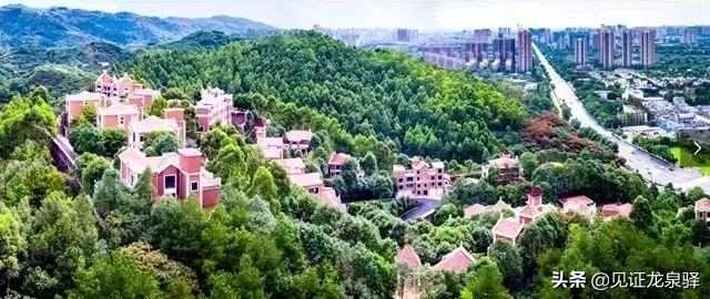 四川省NO.1！龙泉驿凭什么能获全国绿色发展百强区？背后竟藏着这样的秘密~