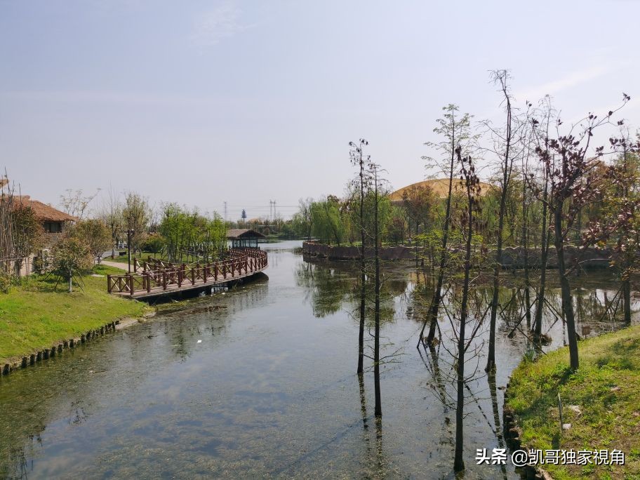 不一样的南通动物园,南通森林野生动物园和上海动物园