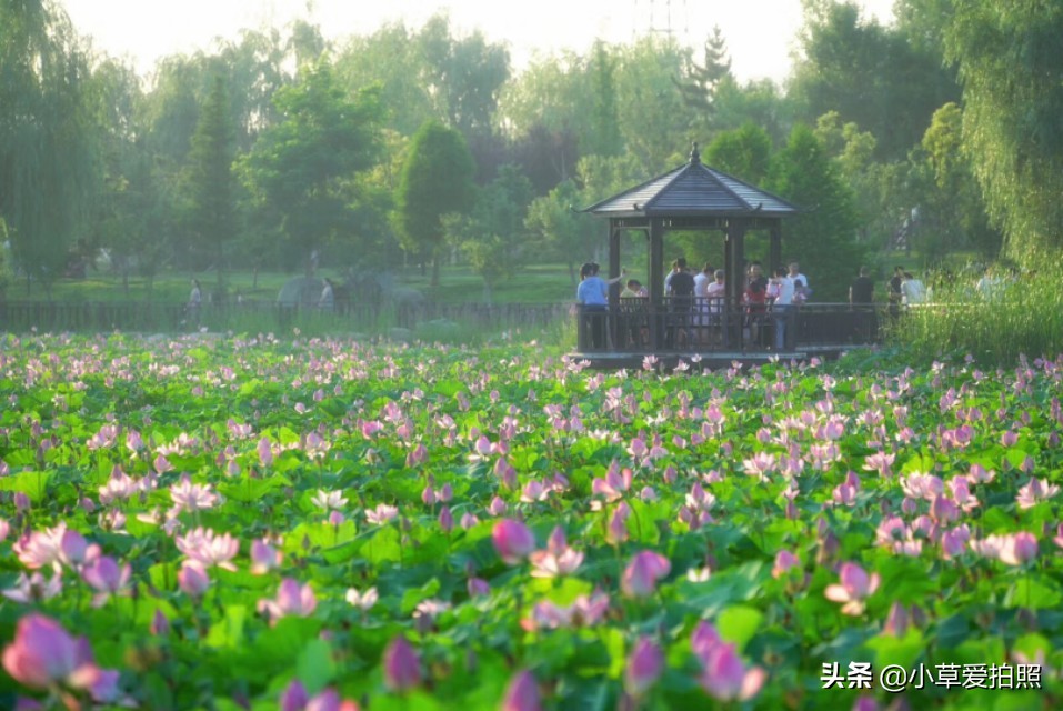 威海羊亭小区,威海羊亭露营