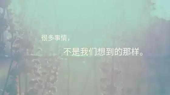 母狗下崽把小崽吃了,小母狗吃掉自己的幼崽