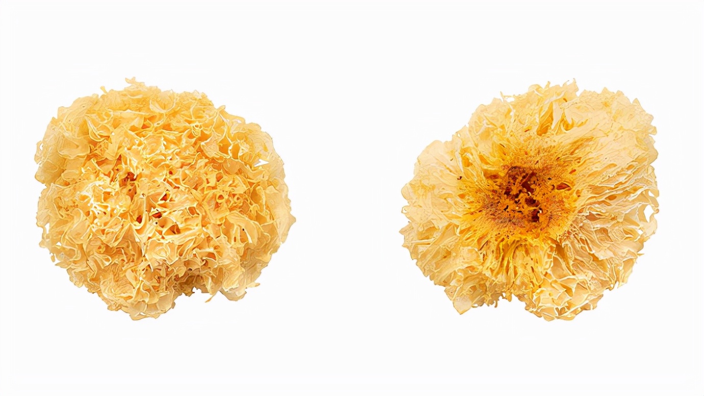 秋分养生润字当头,秋分养生食疗图片