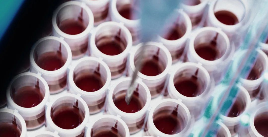 一针特效药70万?健康夫妻,也会把“罕见病”传给孩子