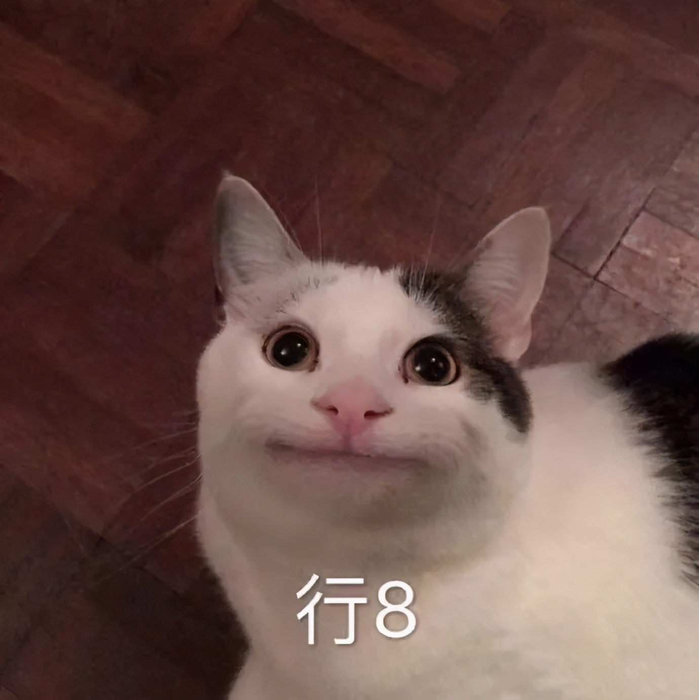 为何各地区四六级报名费不一样,英语四六级考试报名费要多少元