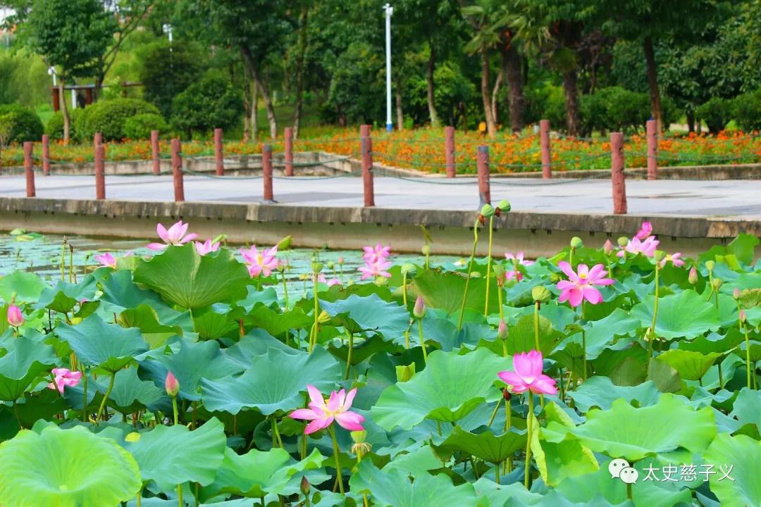 江苏省宿迁市沭阳县基本情况,苏北宿迁沭阳县