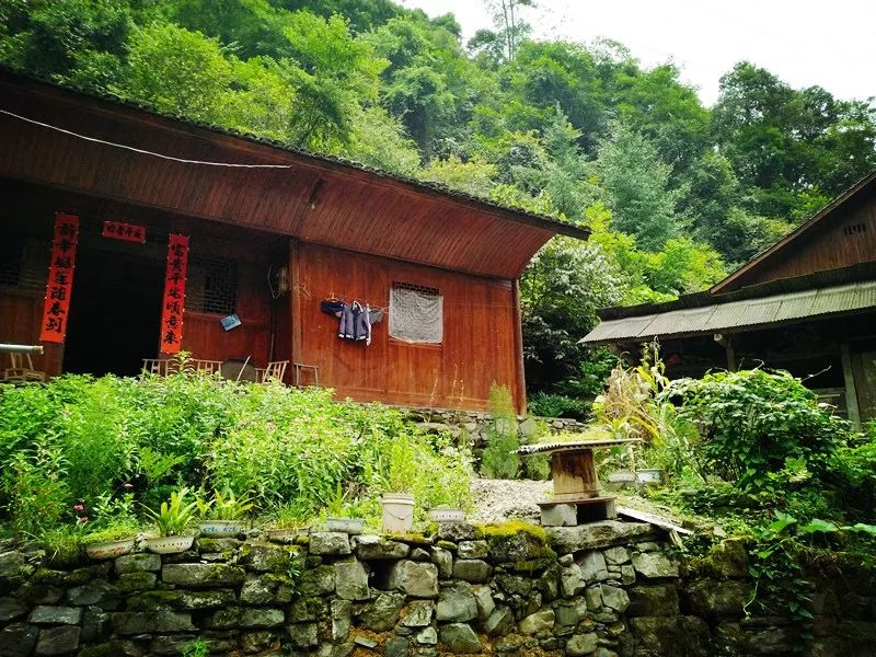 恩施鹤峰旅游攻略一天,恩施鹤峰旅游攻略