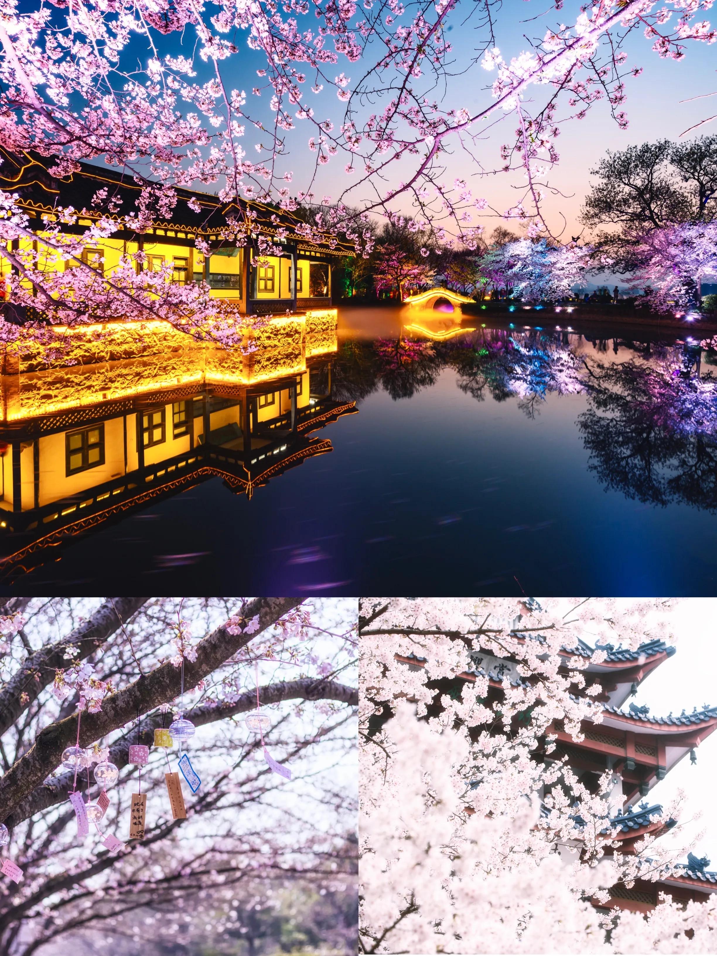 无锡必去特色美食街,无锡鼋头渚风景区有行李寄存处