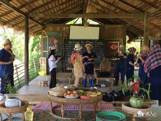 清迈攻略介绍,清迈攻略最全