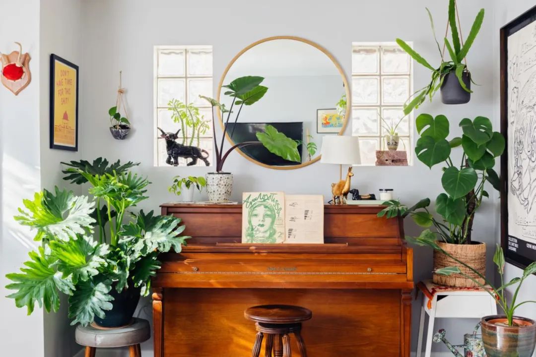 100㎡的家养了99株植物，我醉氧了…