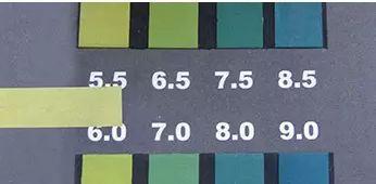 澳大利亚财政部长首推品牌，进国后让柳岩薇娅同时着迷，太疯狂了