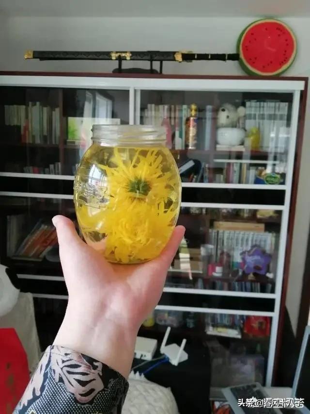 苞米钓青鱼,青鱼吃苞米吗