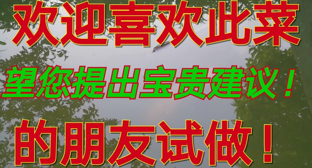 如何煎鸡蛋又好吃又好看,怎样做煎鸡蛋最好吃