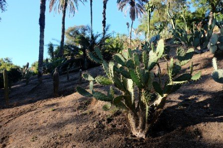 里斯本辛特拉小镇,葡萄牙里斯本辛特拉小镇景点