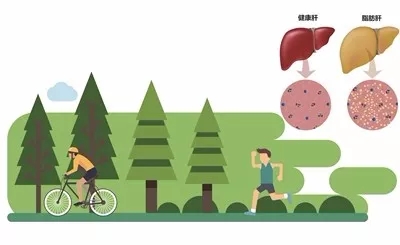 体检查出非均匀脂肪肝怎么治疗,体检查出非酒精性脂肪肝