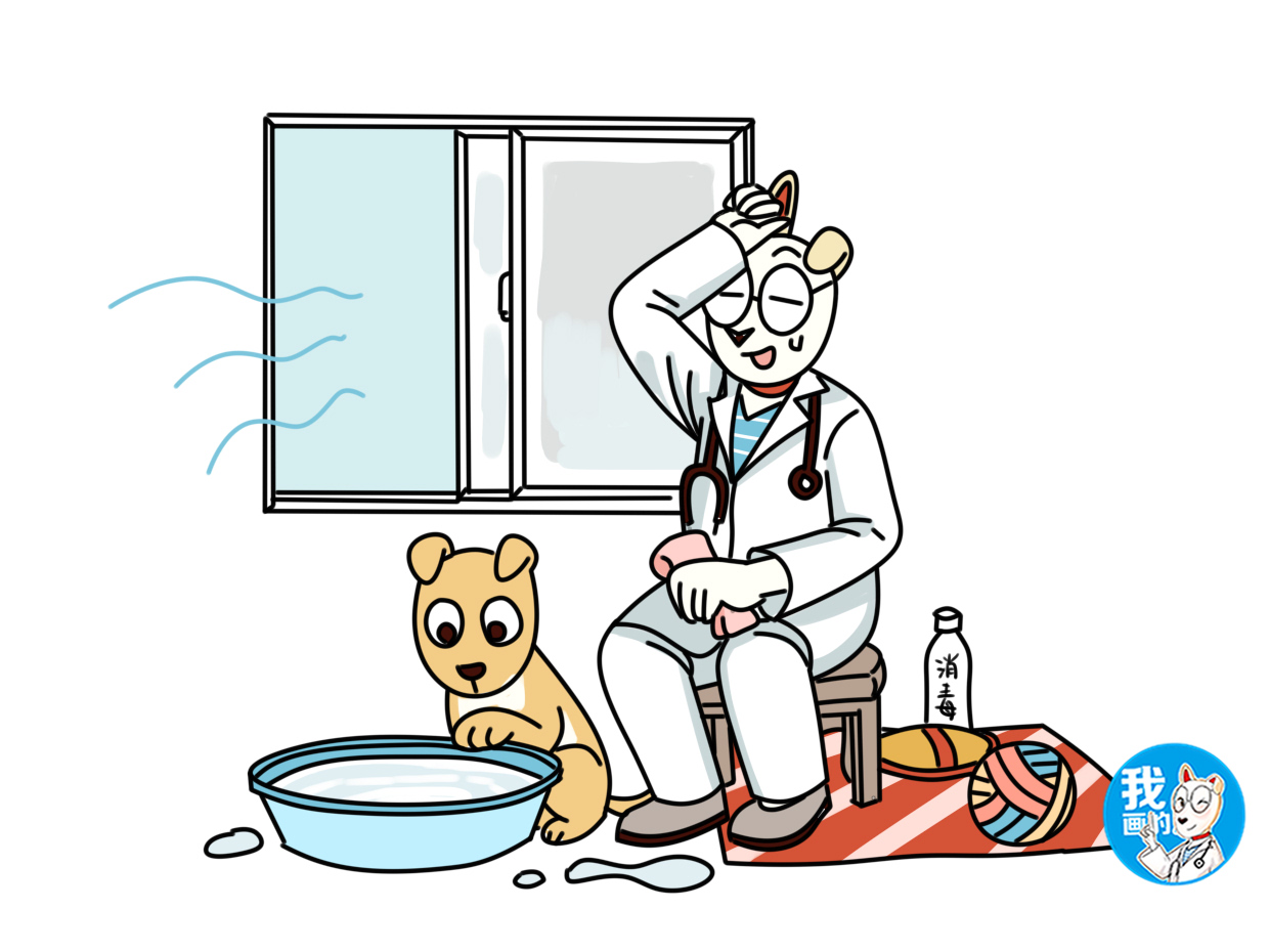 狗狗得了细小主人治病视频,狗狗易患的疾病铲屎官养犬须知