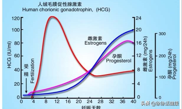 孕7周暂未见胎芽胎心怎么回事,孕7周有胎心胎芽先兆性流产